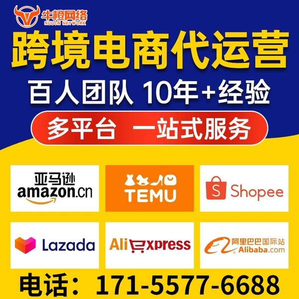 咸宁电商代运营
