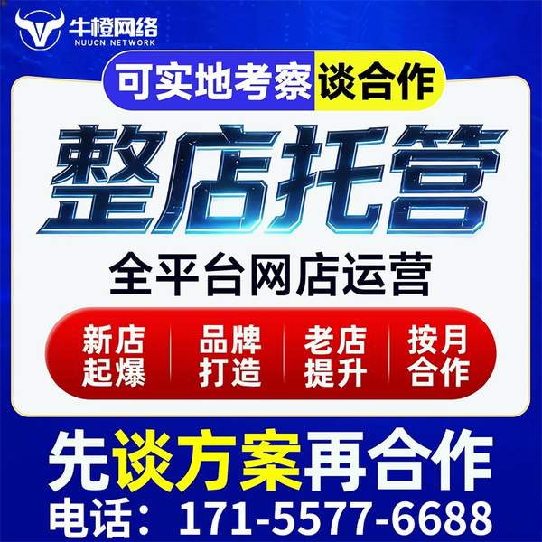 咸宁电商代运营
