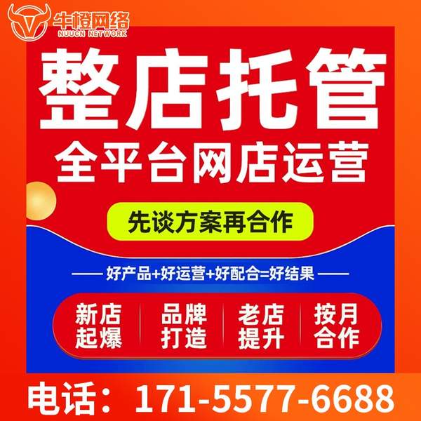 咸宁电商代运营