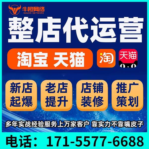 咸宁电商代运营