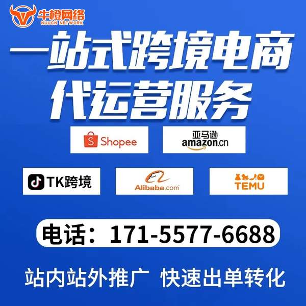 咸宁电商代运营