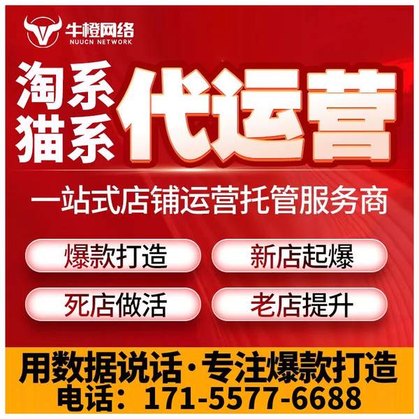 咸宁电商代运营